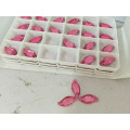 Boutons de couture roses pour la robe